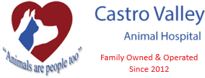 Castro Valley Animal Hospital