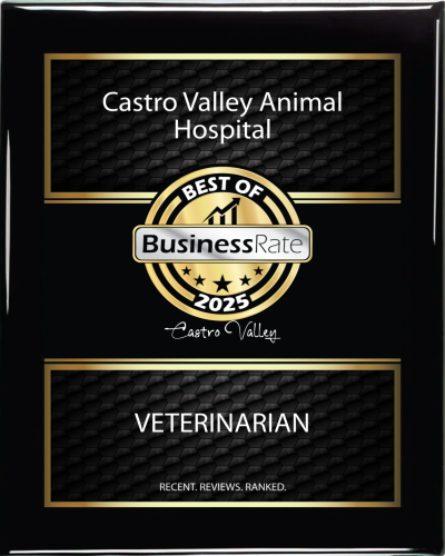 cvah-award